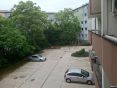 20260603_134425.jpg